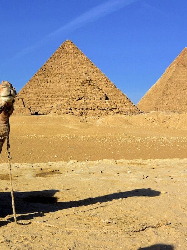 Egypt Tour Guide