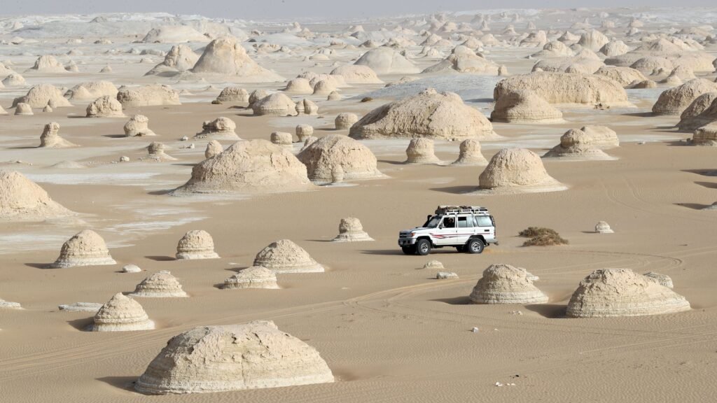 white desert safari